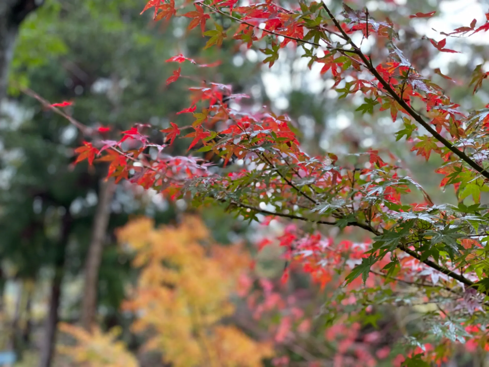 令和5年度「長楽寺十夜会」のご案内